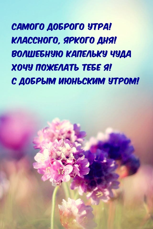 С добрым июньским утром!