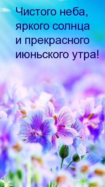 Прекрасного июньского утра!