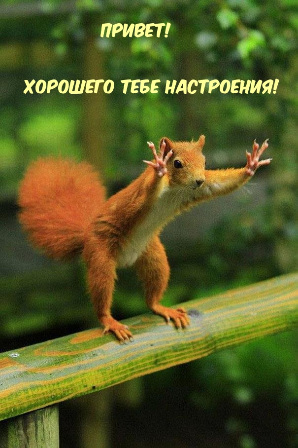 Привет! Хорошего тебе настроения!