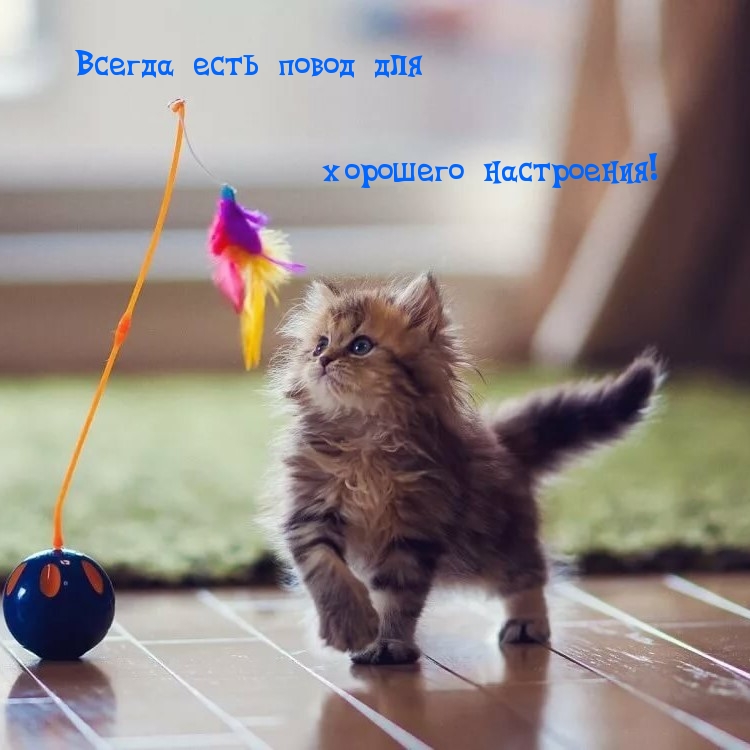 Всегда есть повод для хорошего настроения!