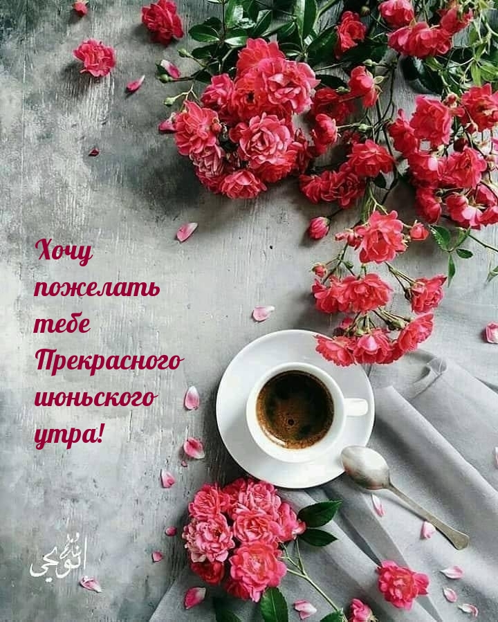 Хочу пожелать тебе прекрасного июньского утра!
