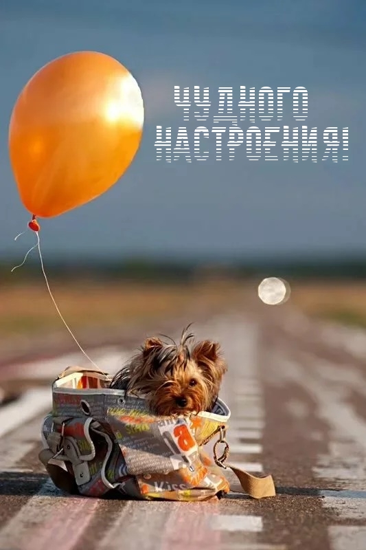 Чудного настроения!