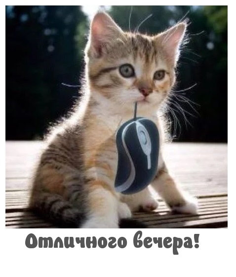 Отличного вечера!