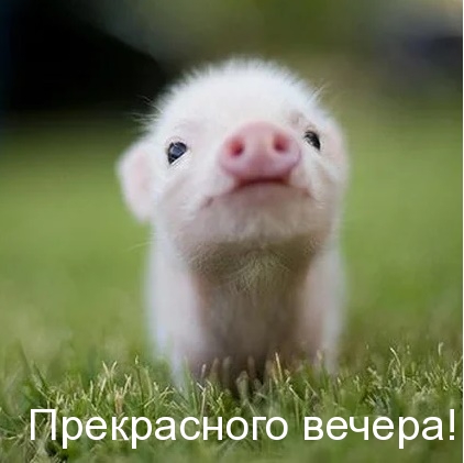Прекрасного вечера!
