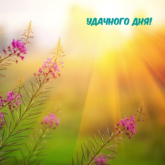 Удачного Дня!