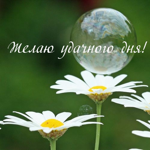 Желаю удачного дня!