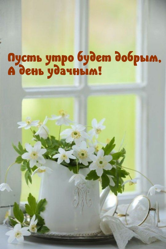 Пусть утро будет добрым, А день удачным!