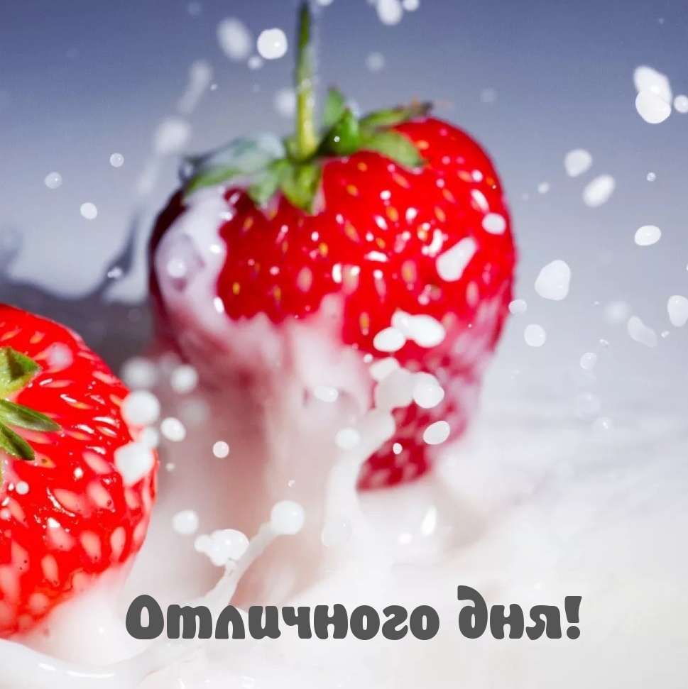 Отличного дня!