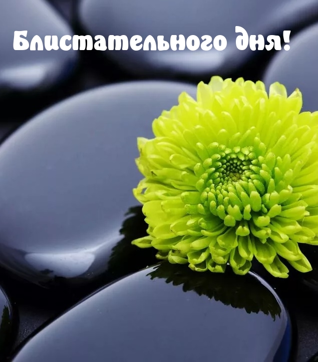 Блистательного дня!