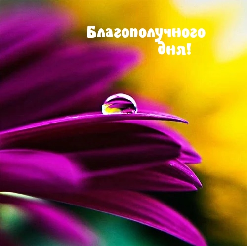 Благополучного дня!