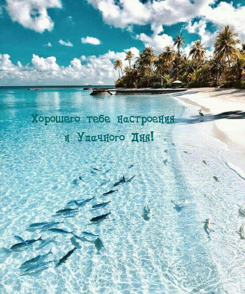 Хорошего тебе настроения и удачного Дня!