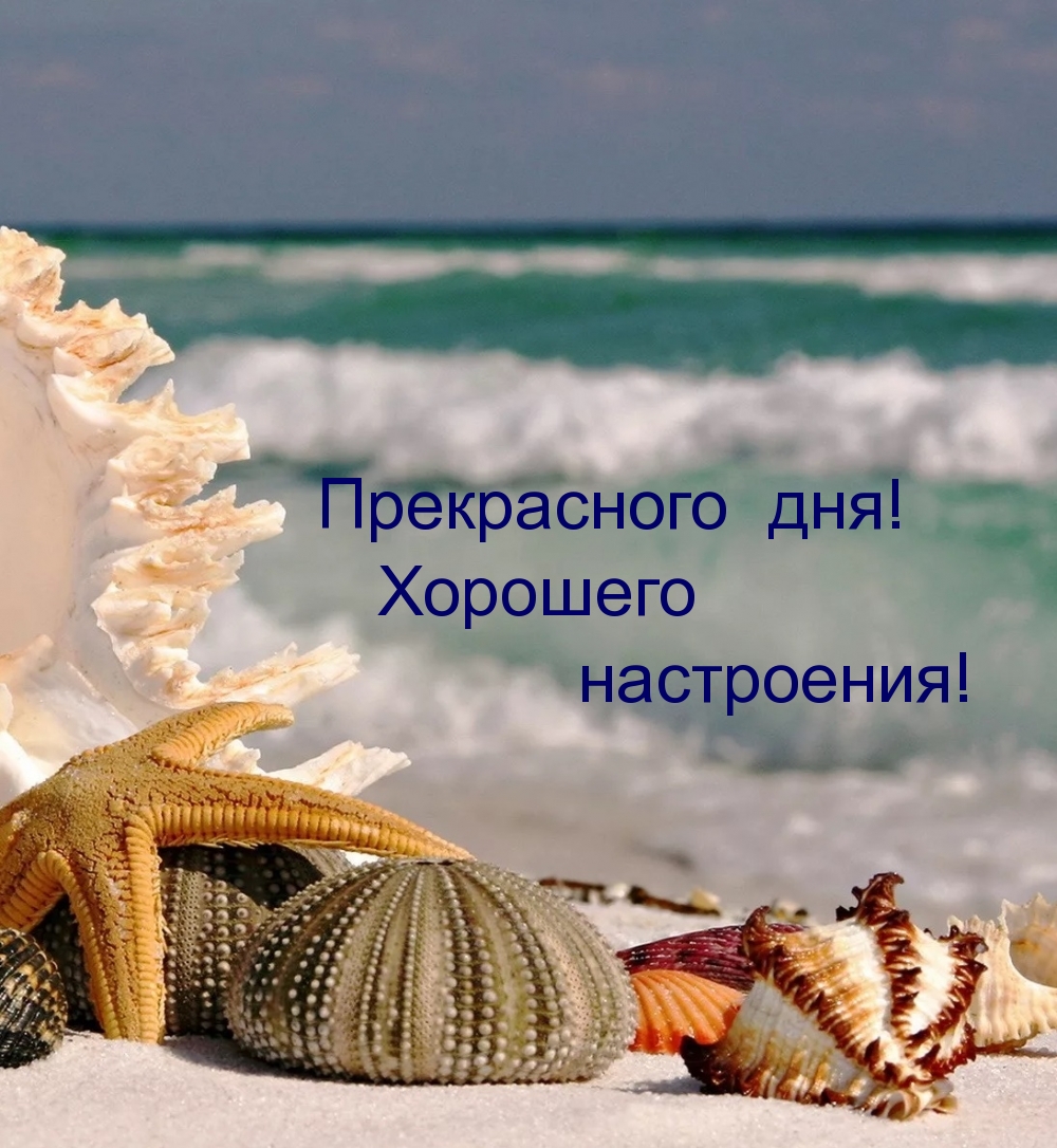 Прекрасного дня! Хорошего настроения!
