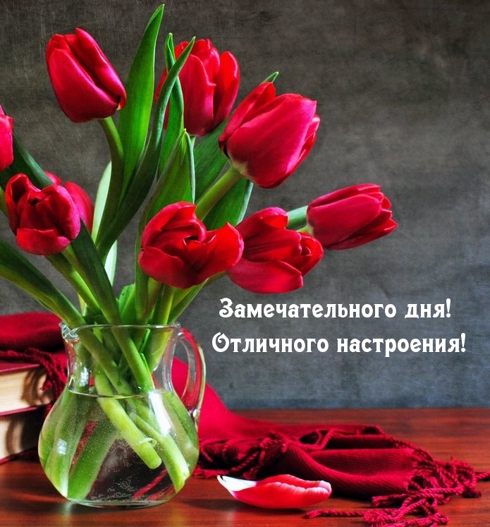 Замечательного дня! Отличного настроения!