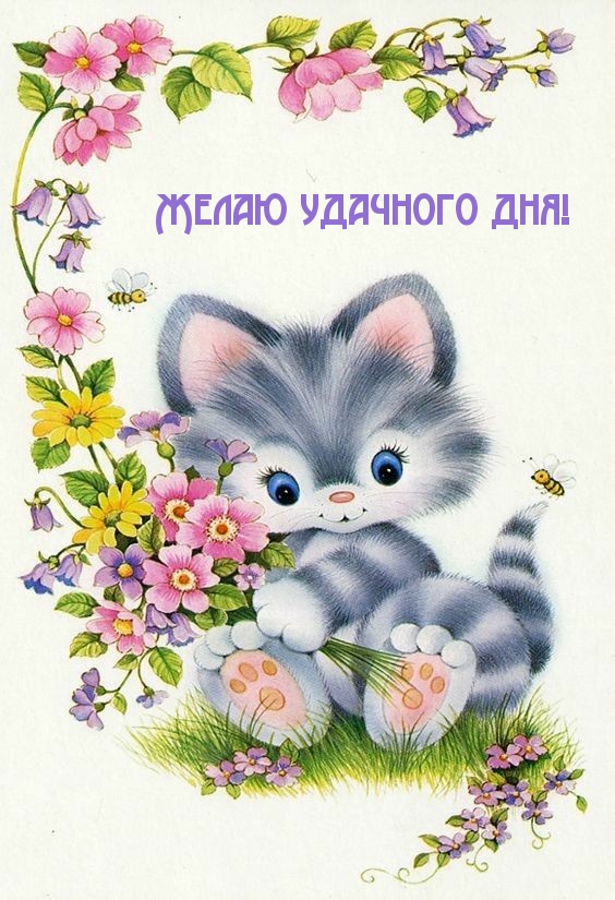 Желаю удачного дня!