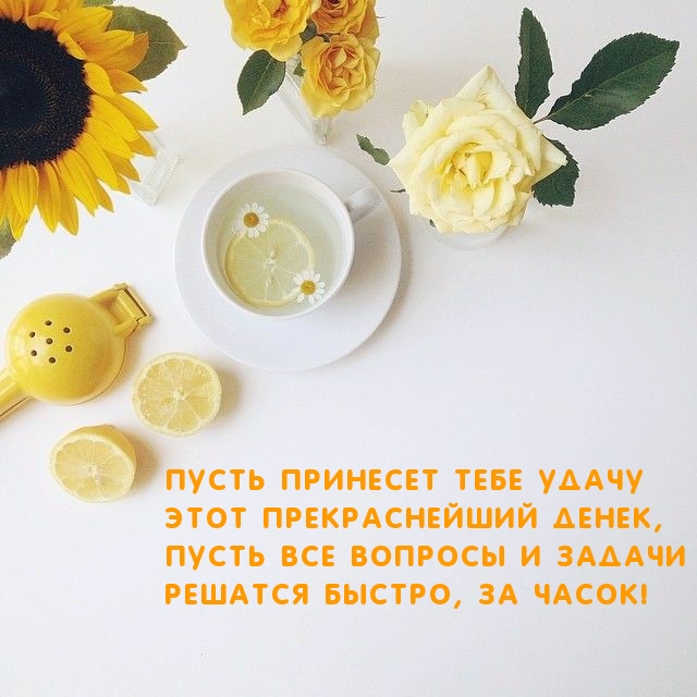 Пусть принесет тебе удачу этот прекраснейший денек