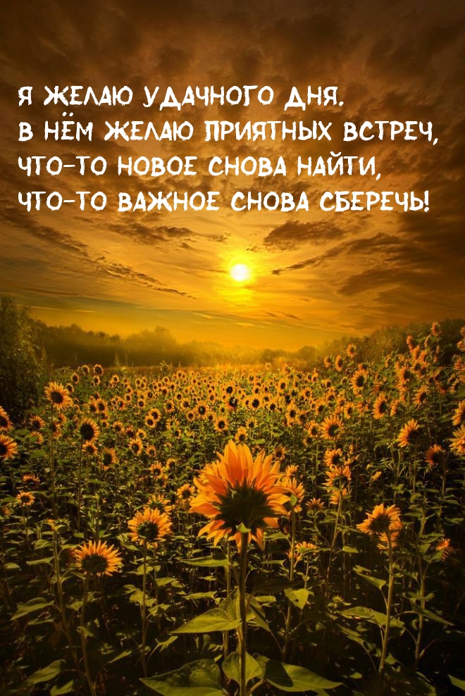 Я желаю удачного дня! Стихотворение