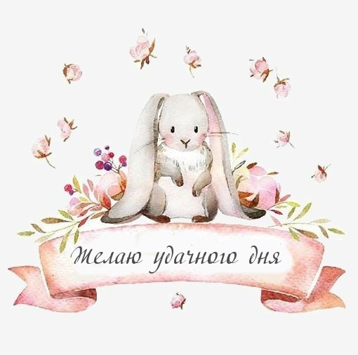 Желаю удачного дня