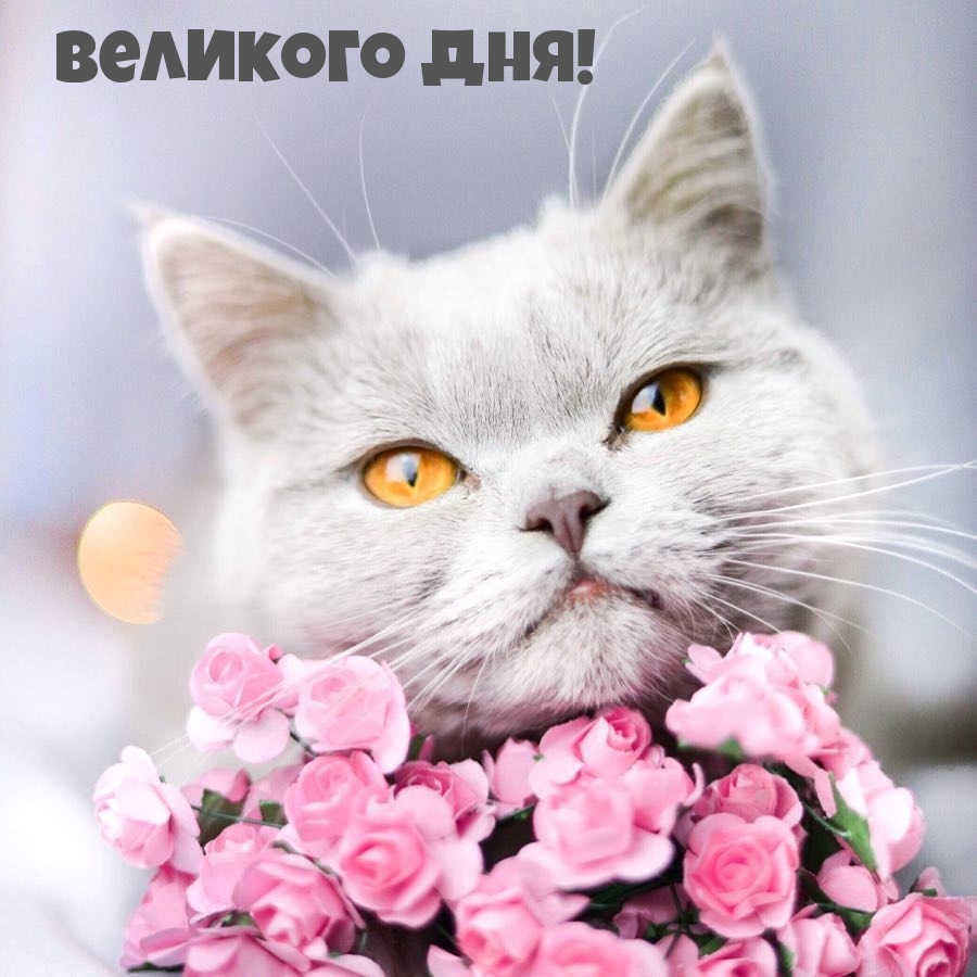 Великого дня!