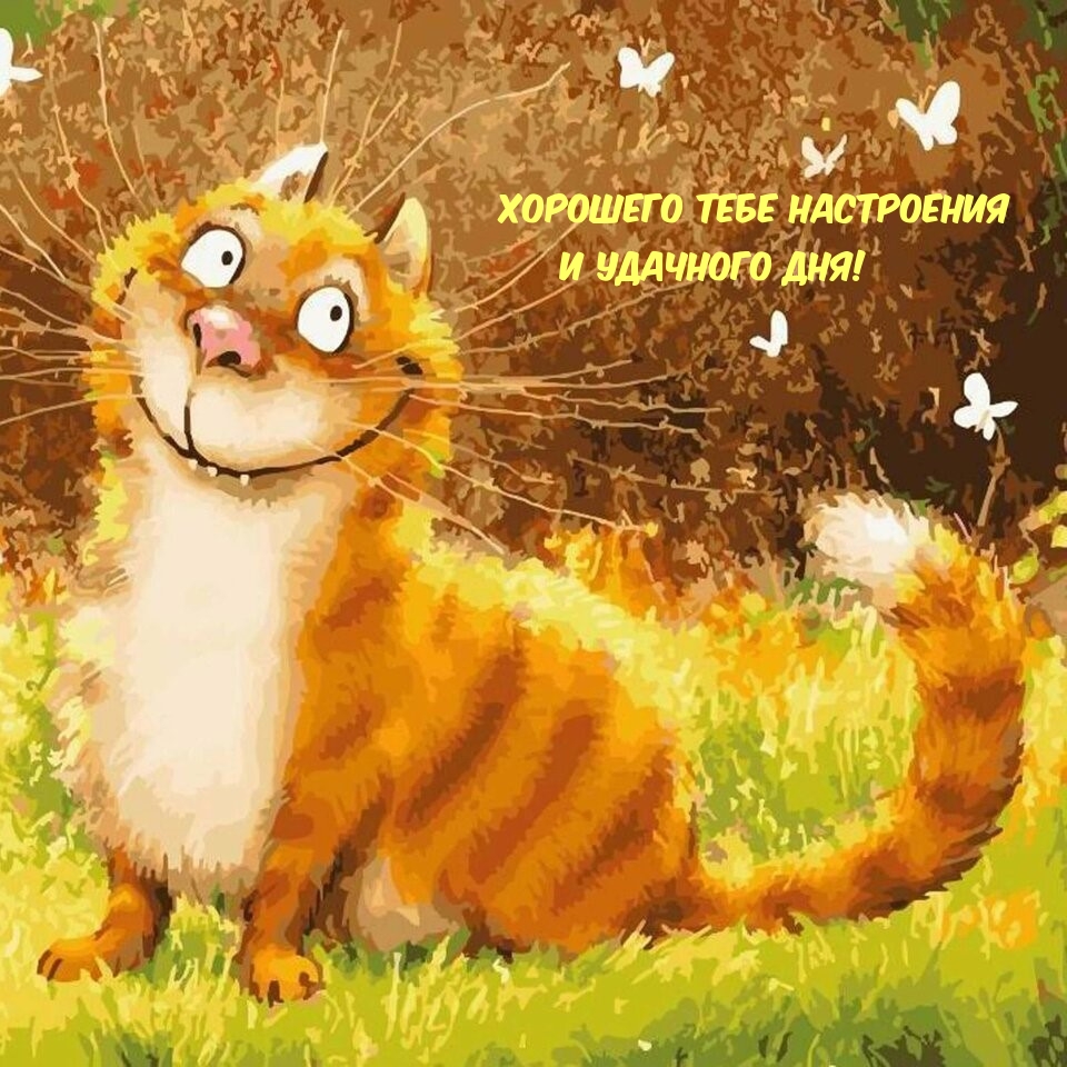 Хорошего тебе настроения и Удачного дня!