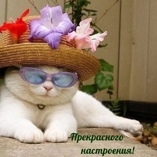 Прекрасного настроения!