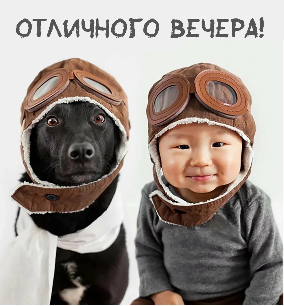 Отличного вечера!