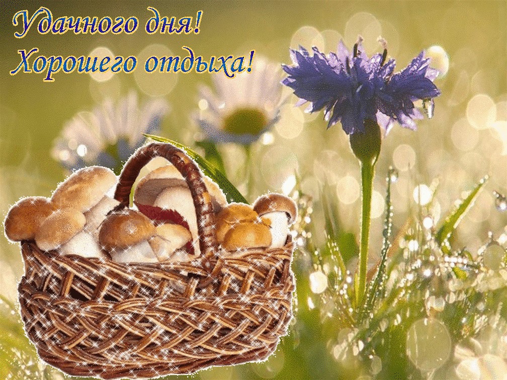 Удачного дня, хорошего отдыха!