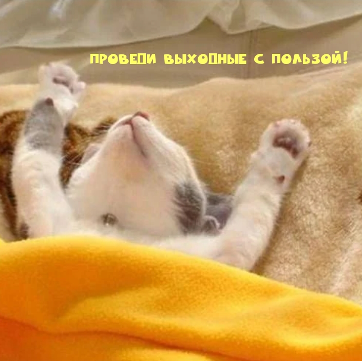 Проведи выходные с пользой!