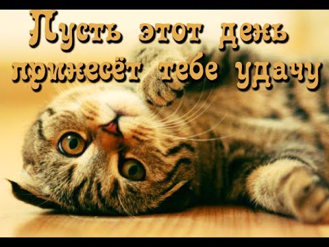 Пусть этот день принесет тебе удачу!