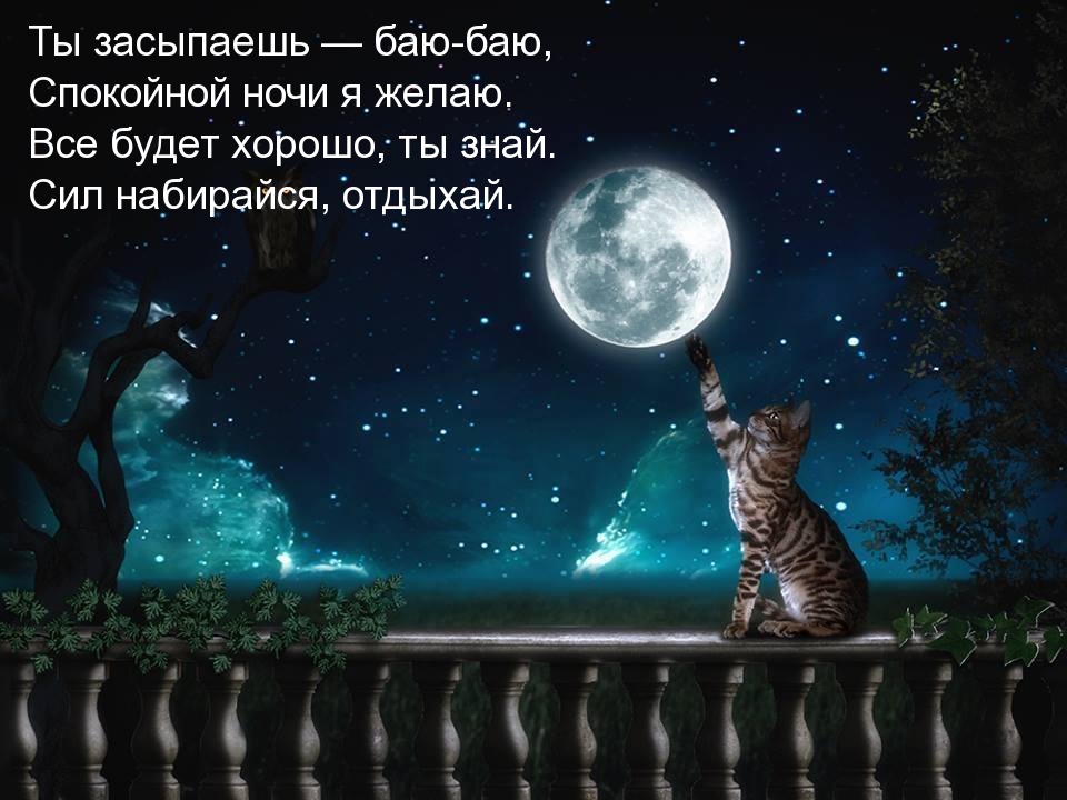 Спокойной ночи я желаю — стихотворение