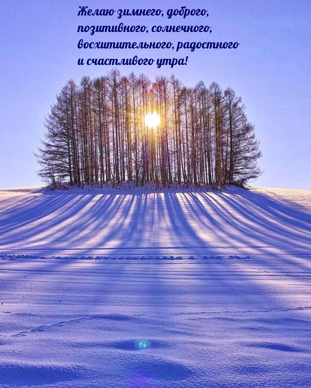 Зимнего, доброго, позитивного утра!
