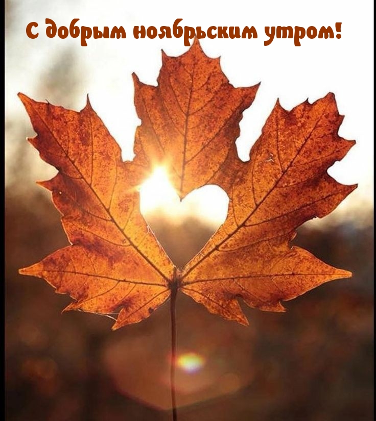 С добрым ноябрьским утром!