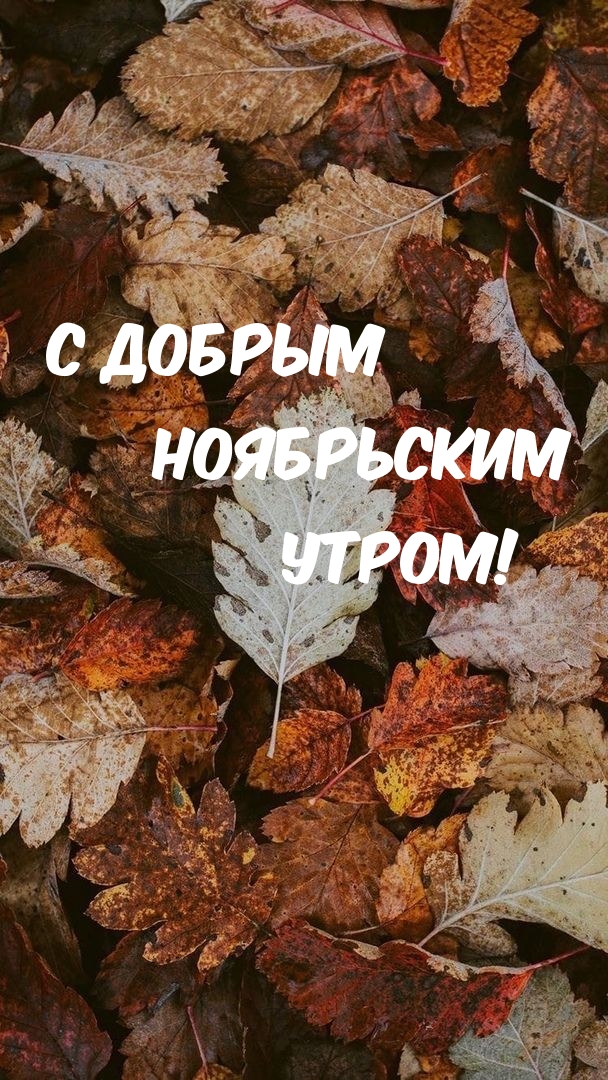С добрым ноябрьским утром!