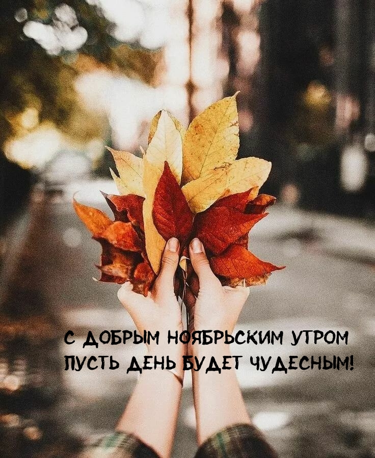 С добрым ноябрьским утром! Пусть день будет чудесным!