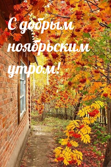 С добрым ноябрьским утром!