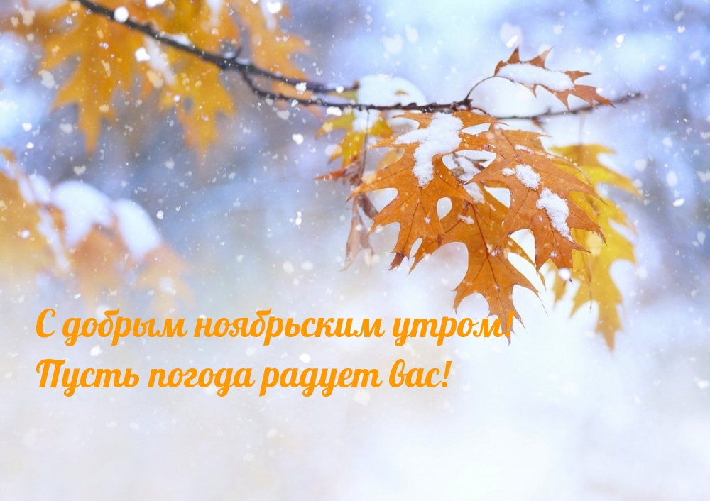 С добрым ноябрьским утром! Пусть погода радует вас!