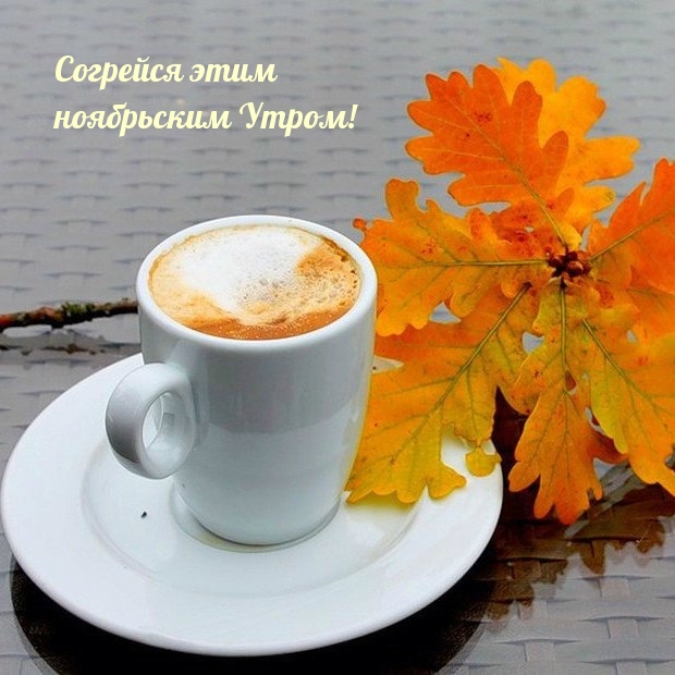 Согрейся этим ноябрьским Утром!
