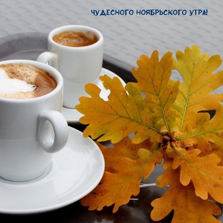 Чудесного Ноябрьского Утра!