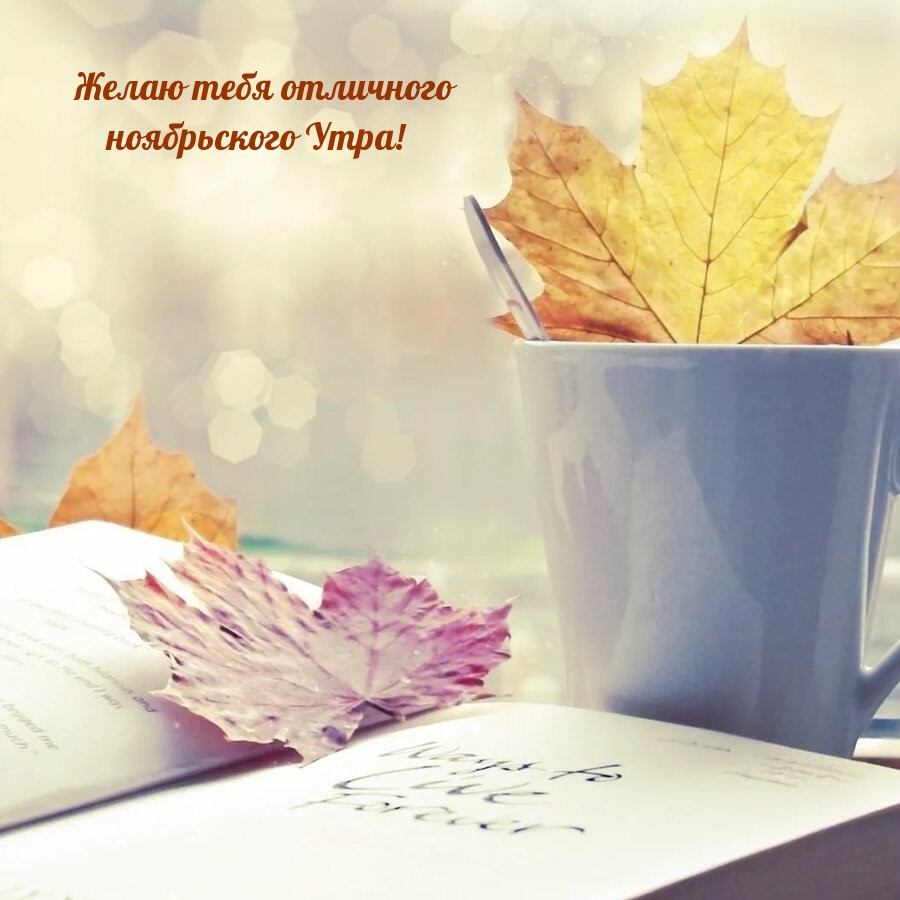 Желаю тебя отличного ноябрьского Утра!