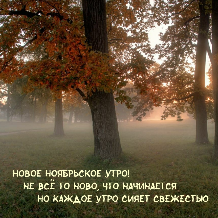 Новое ноябрьское утро!