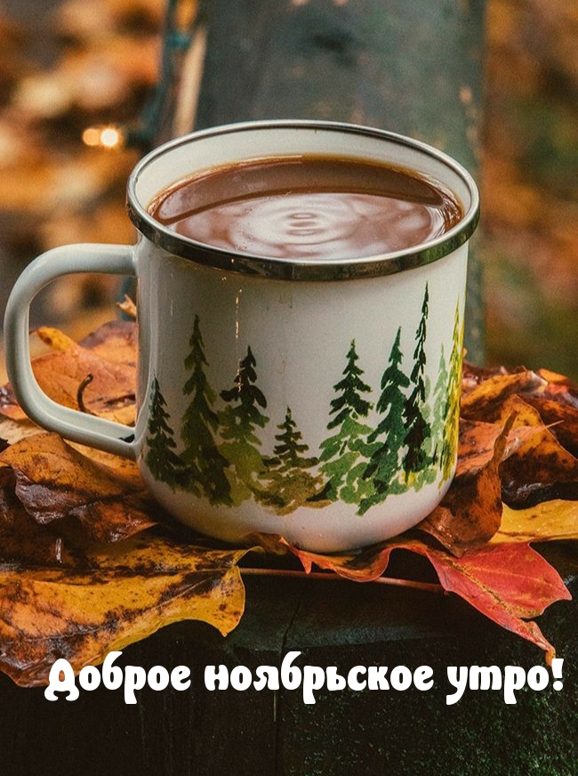 Доброе ноябрьское утро!