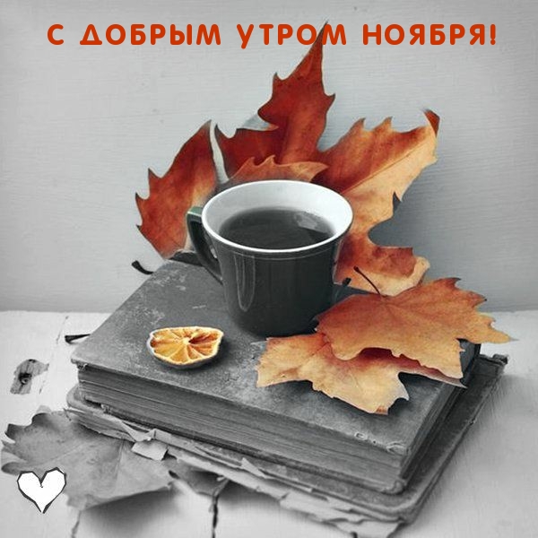 С добрым утром ноября!