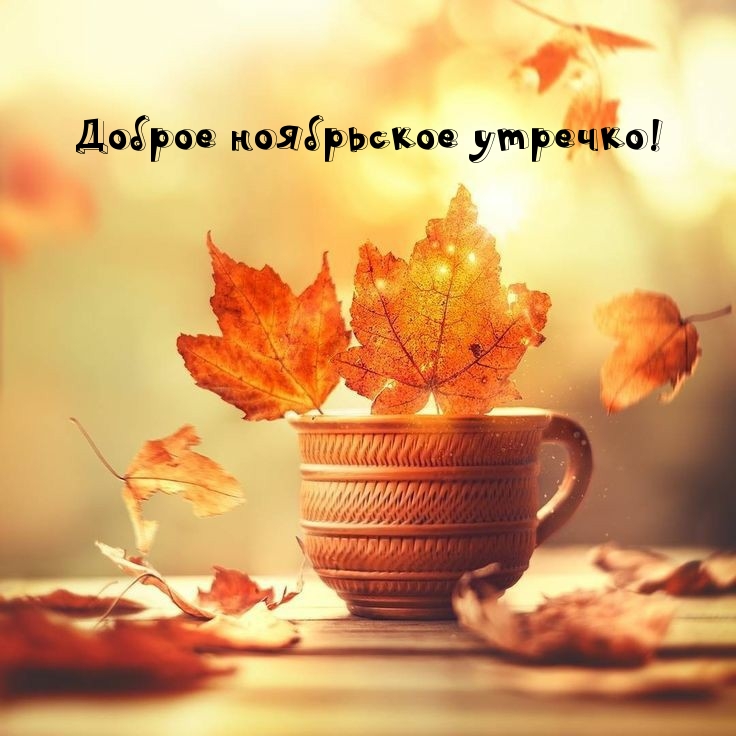 Доброе ноябрьское утречко!