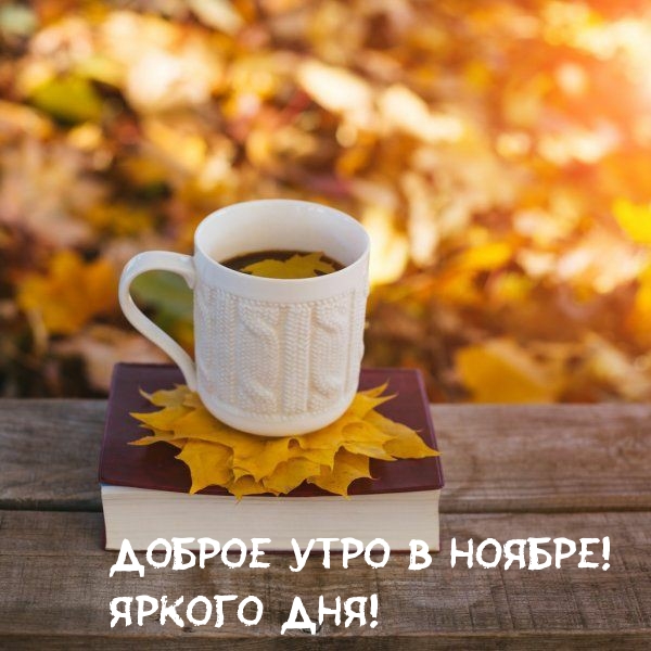 Доброе утро в ноябре! Яркого дня!