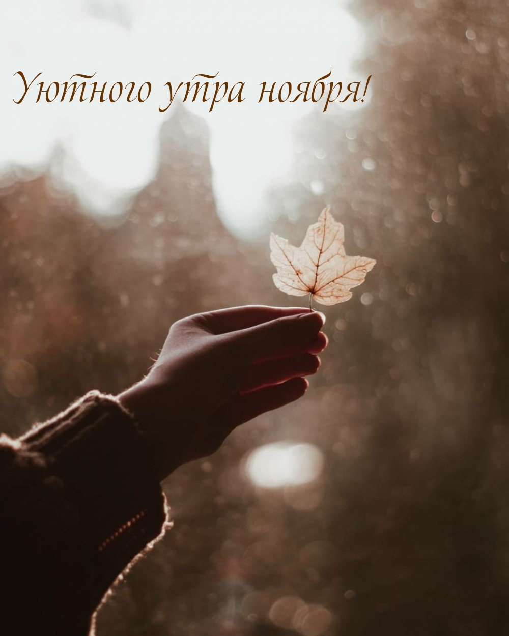 Уютного утра ноября!