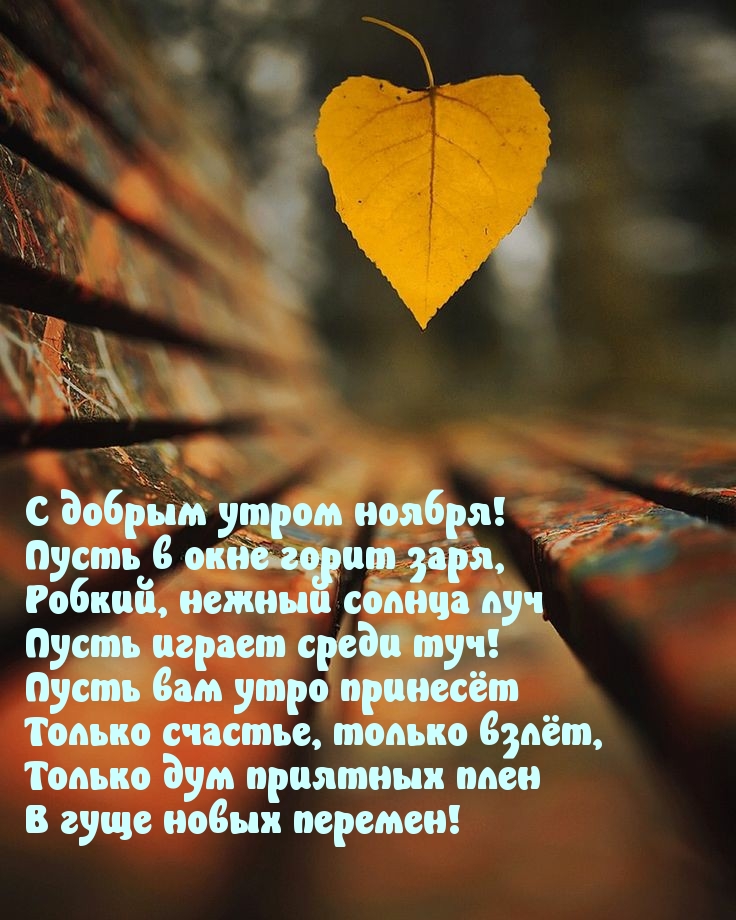 С добрым утром ноября! Стихотворение