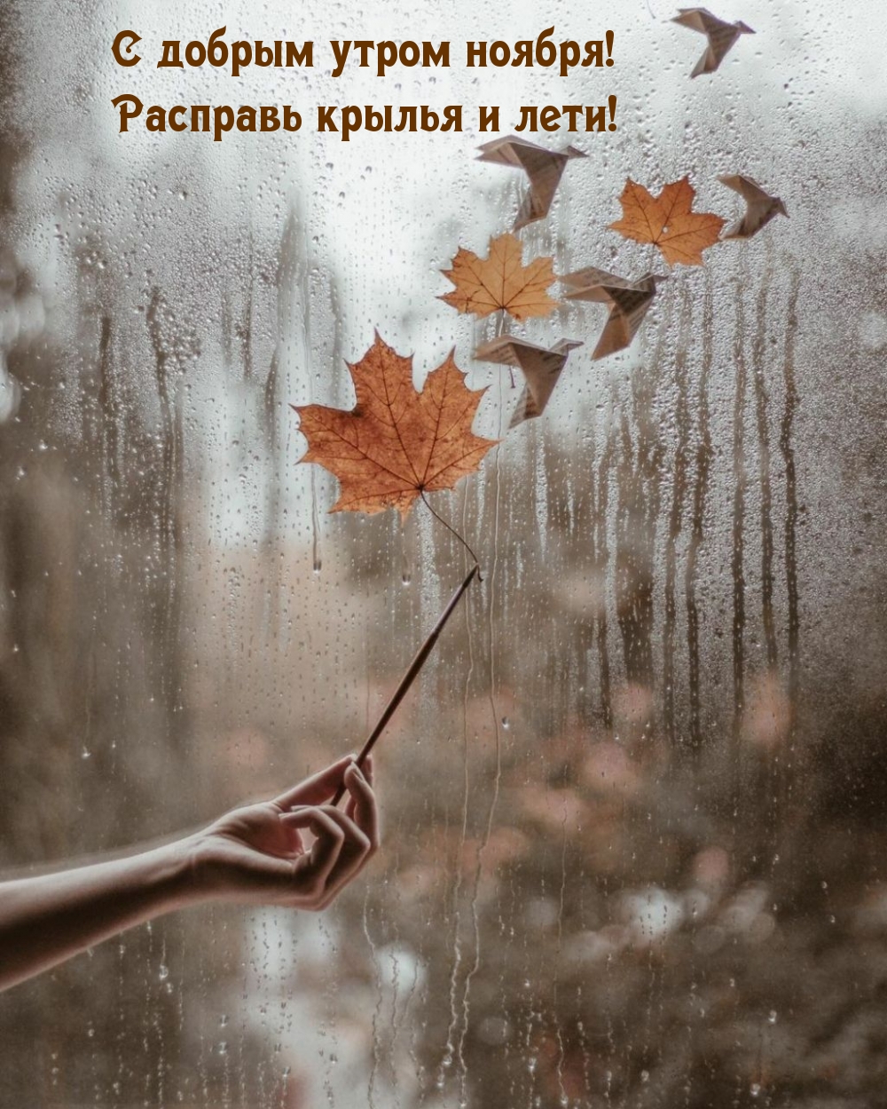 С добрым утром ноября! Расправь крылья и лети!