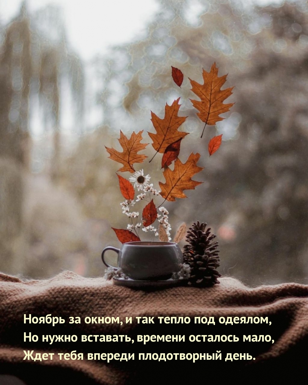 Ноябрь за окном, и так тепло под одеялом