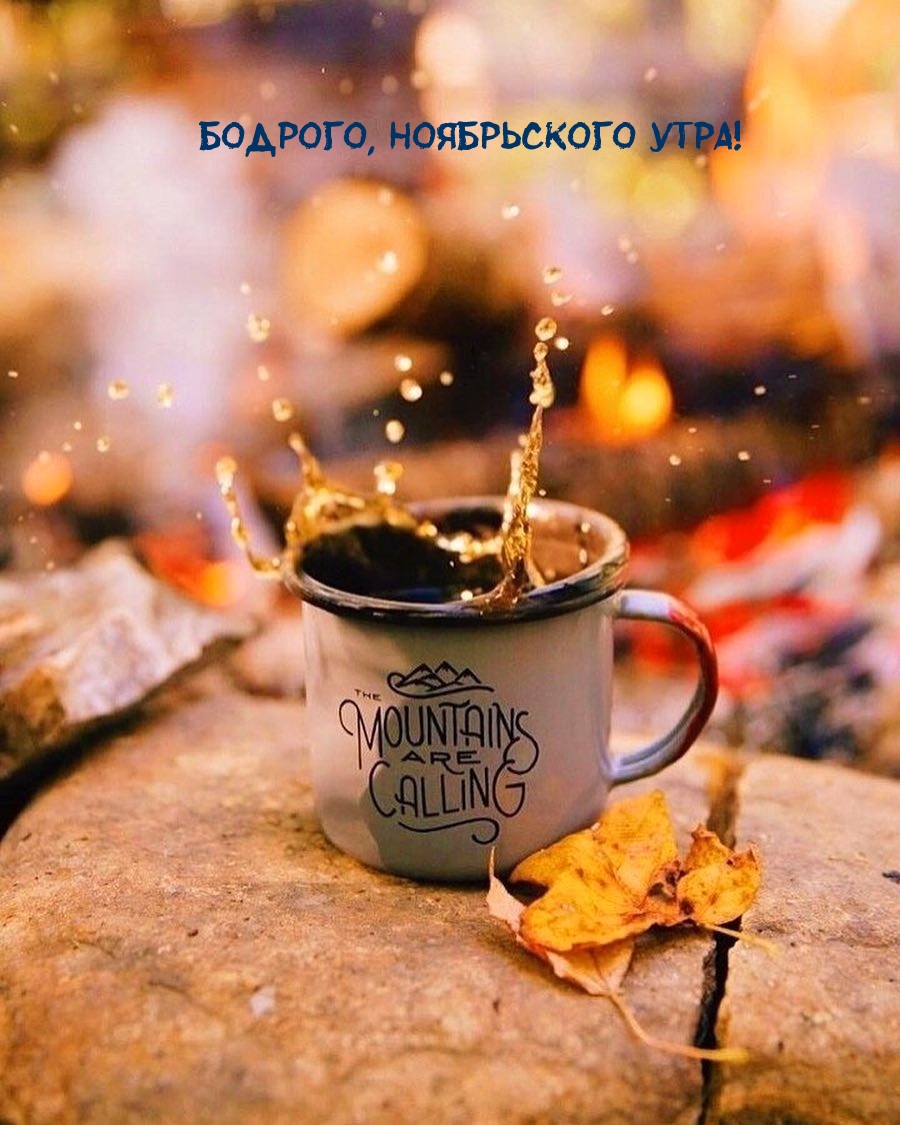 Бодрого, ноябрьского Утра!