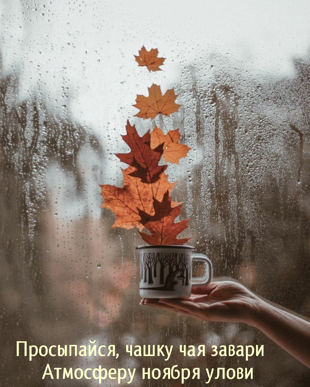 Просыпайся, атмосферу ноября улови