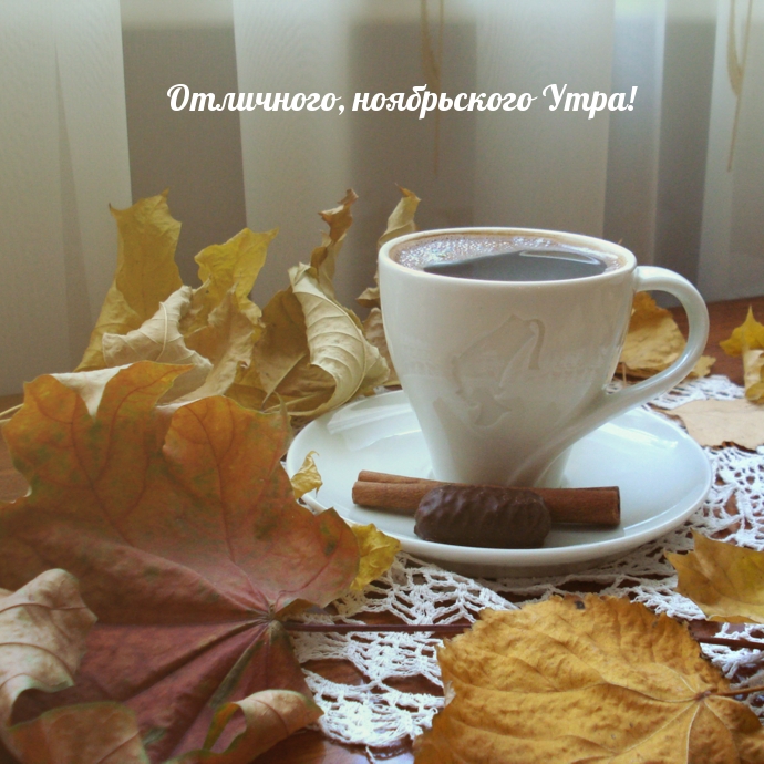 Отличного, ноябрьского Утра!